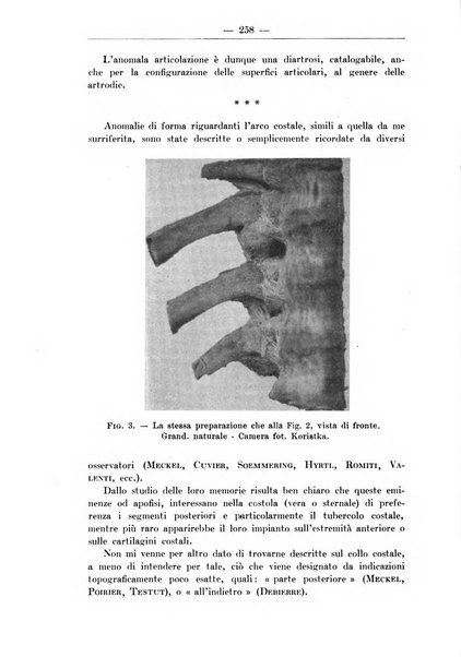 Monitore zoologico italiano