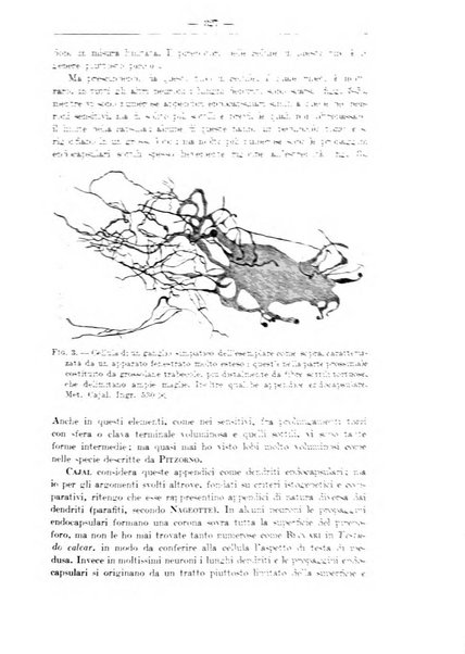 Monitore zoologico italiano