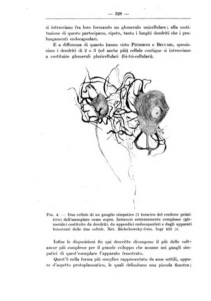 Monitore zoologico italiano