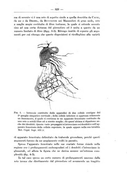 Monitore zoologico italiano