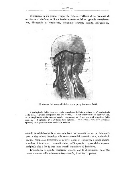 Monitore zoologico italiano