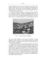 giornale/TO00014635/1932/unico/00000058