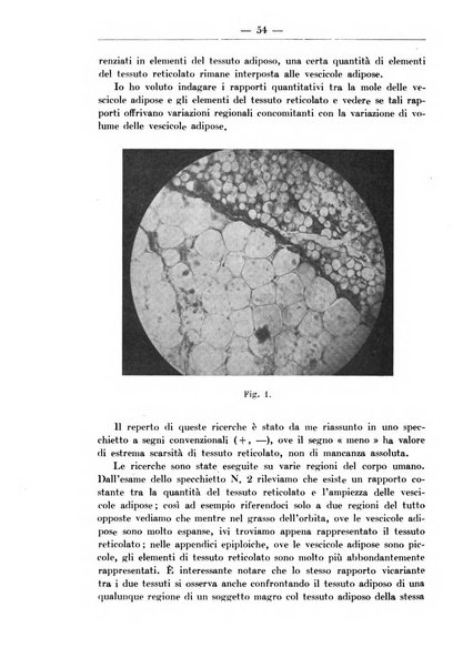 Monitore zoologico italiano