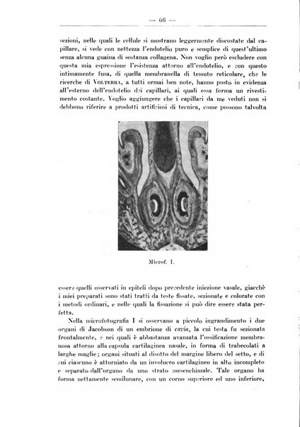 Monitore zoologico italiano