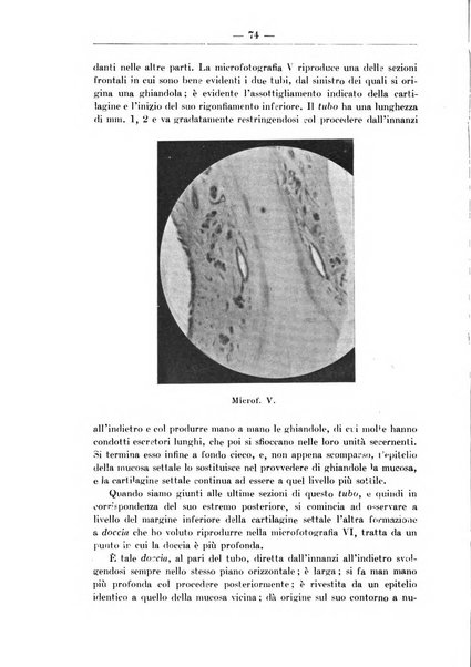 Monitore zoologico italiano