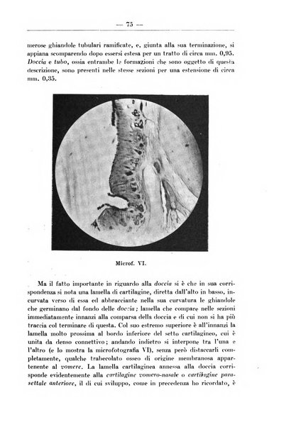 Monitore zoologico italiano