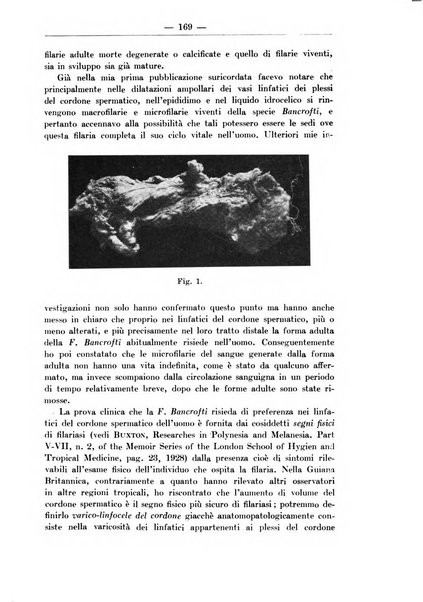 Monitore zoologico italiano