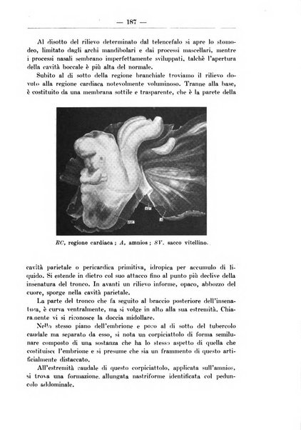 Monitore zoologico italiano