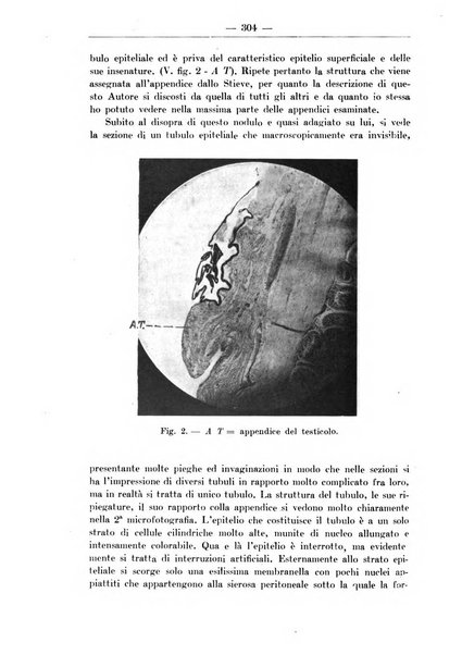 Monitore zoologico italiano