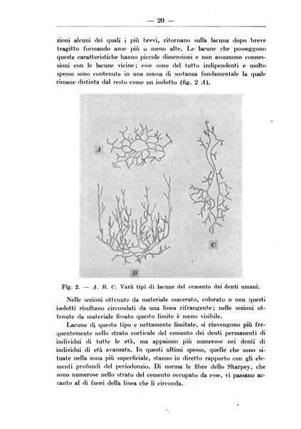 Monitore zoologico italiano