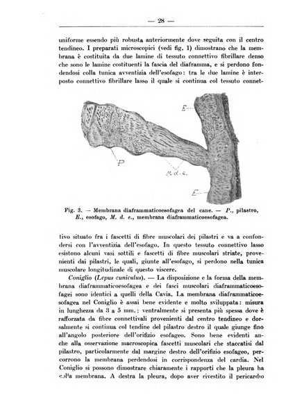 Monitore zoologico italiano