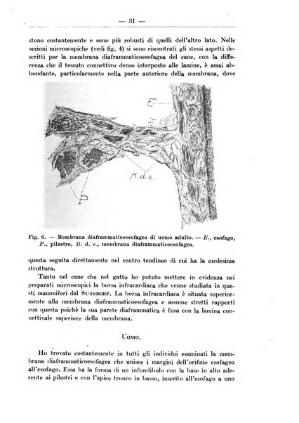 Monitore zoologico italiano