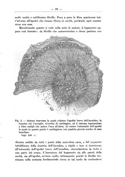 Monitore zoologico italiano