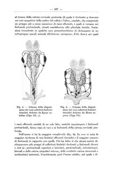 Monitore zoologico italiano