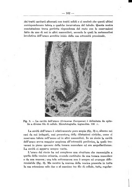 Monitore zoologico italiano