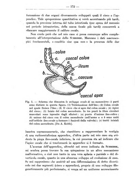 Monitore zoologico italiano