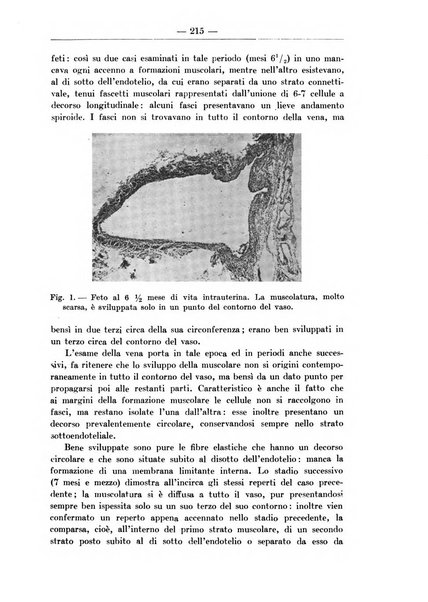 Monitore zoologico italiano