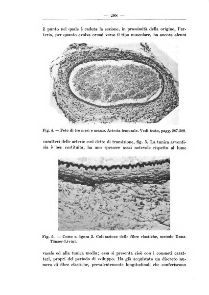 Monitore zoologico italiano