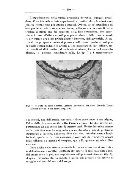 Monitore zoologico italiano