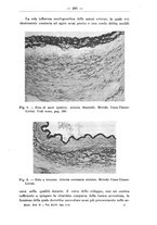 giornale/TO00014635/1933/unico/00000341