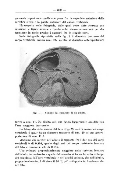 Monitore zoologico italiano