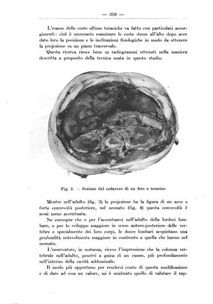 Monitore zoologico italiano