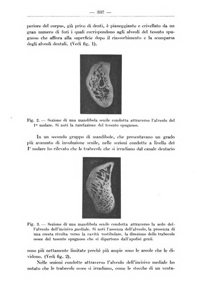 Monitore zoologico italiano