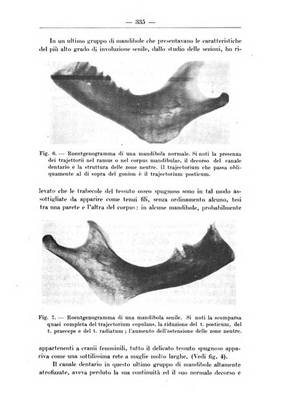 Monitore zoologico italiano