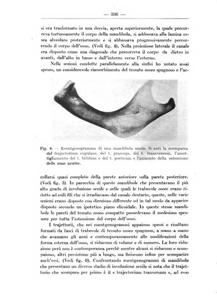 Monitore zoologico italiano