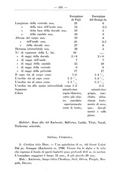 Monitore zoologico italiano