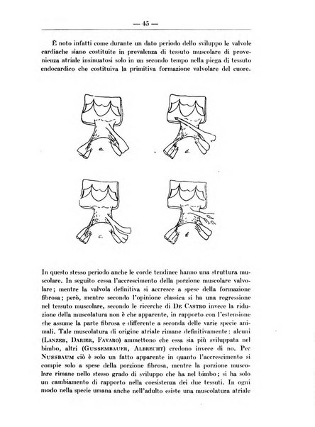 Monitore zoologico italiano