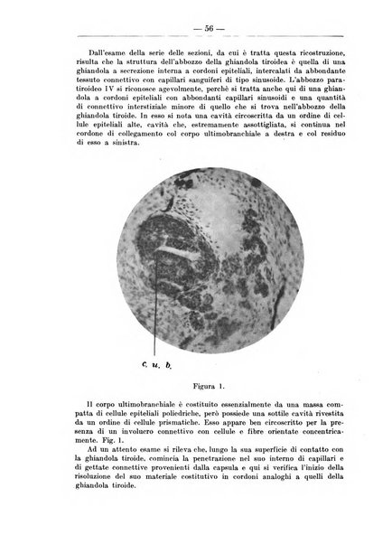 Monitore zoologico italiano