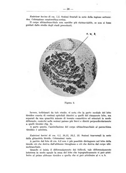 Monitore zoologico italiano