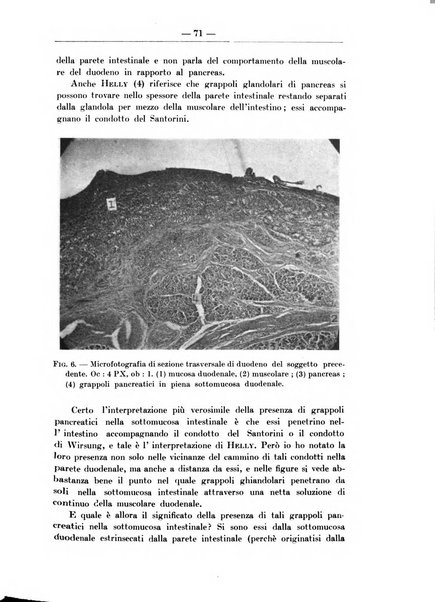 Monitore zoologico italiano