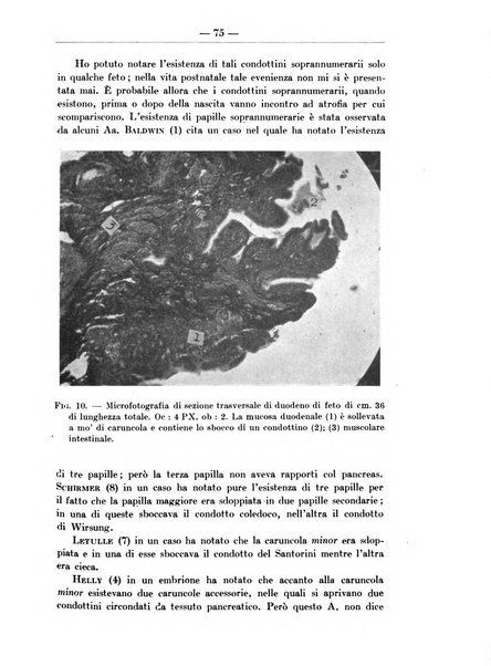 Monitore zoologico italiano