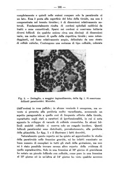 Monitore zoologico italiano