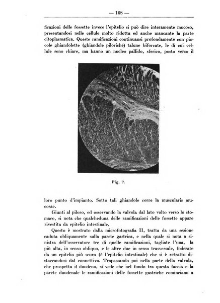 Monitore zoologico italiano