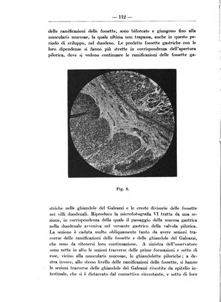 Monitore zoologico italiano