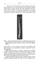 giornale/TO00014635/1934/unico/00000195