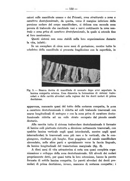 Monitore zoologico italiano