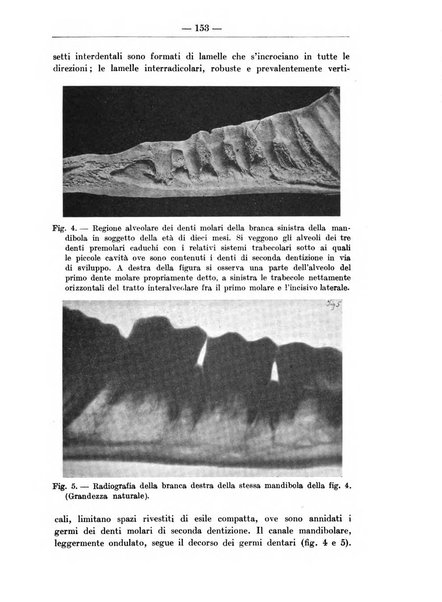 Monitore zoologico italiano