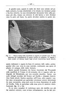 giornale/TO00014635/1934/unico/00000201