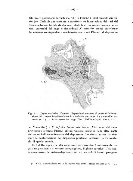 Monitore zoologico italiano