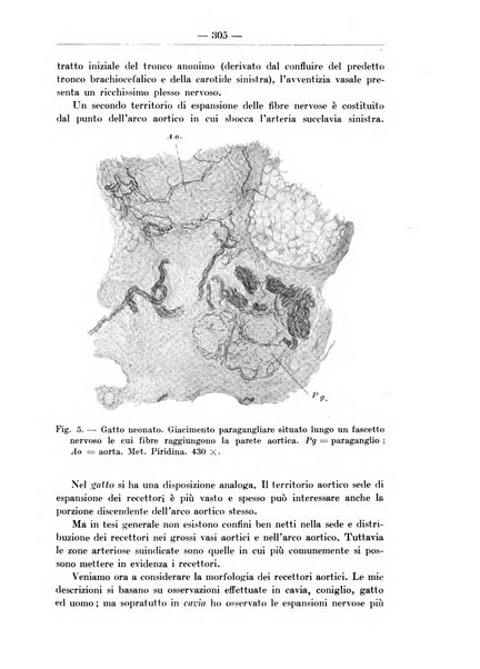 Monitore zoologico italiano