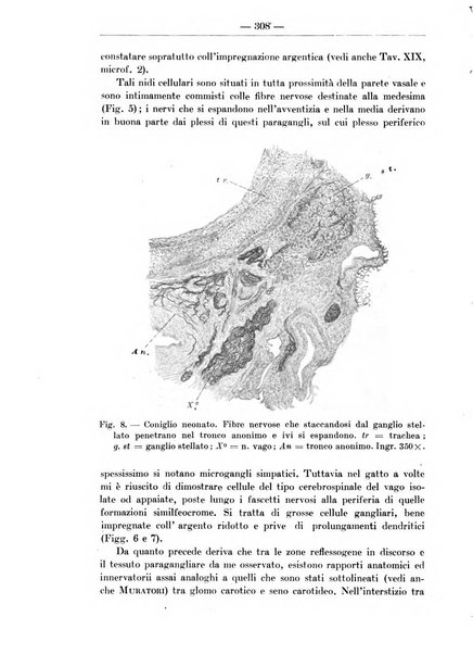 Monitore zoologico italiano