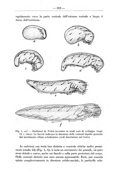 Monitore zoologico italiano