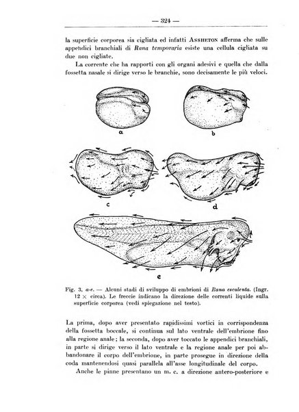 Monitore zoologico italiano