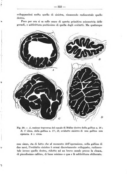 Monitore zoologico italiano