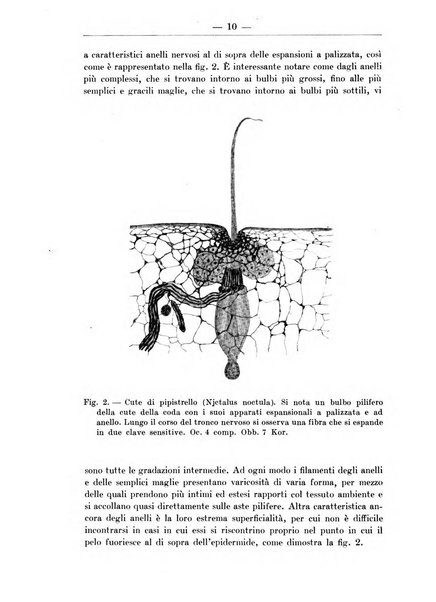 Monitore zoologico italiano