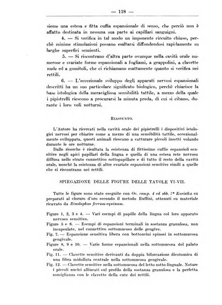 Monitore zoologico italiano